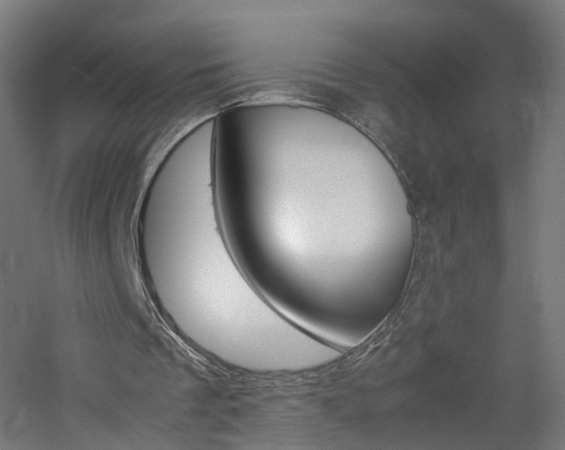 X0000060780289200511101015