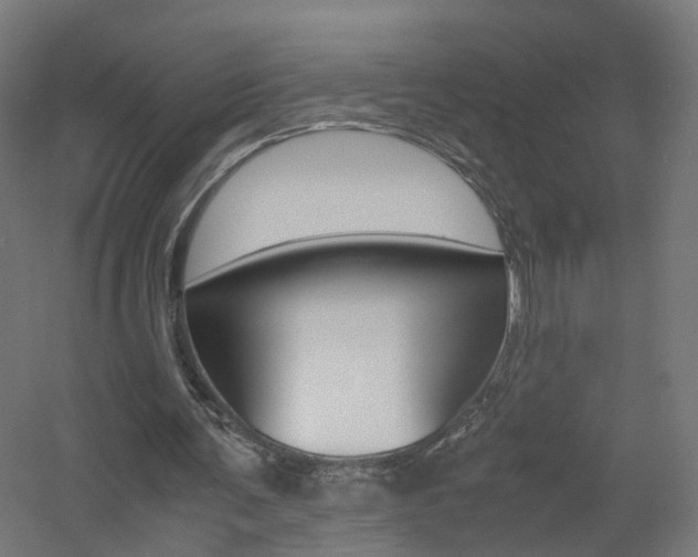 X0000060780291200511101015