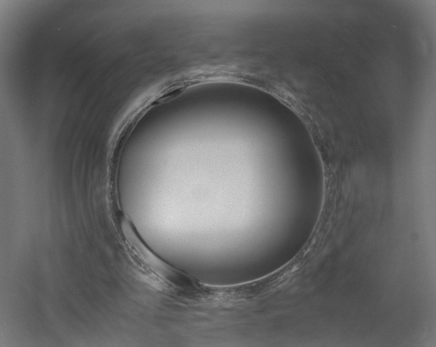 X0000060780293200511101015