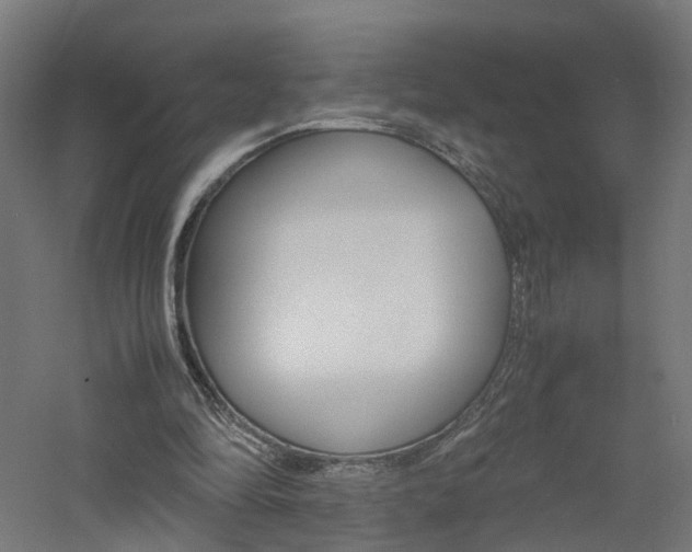 X0000060780294200511101015