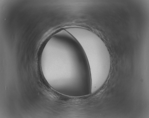 X0000060780295200511101015