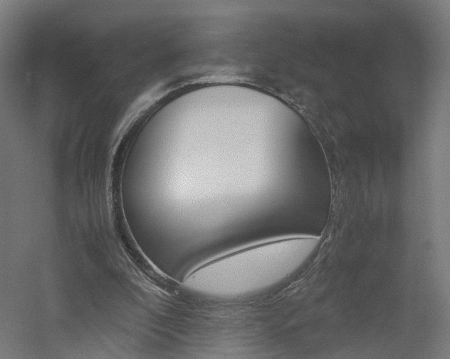 X0000060780296200511101015