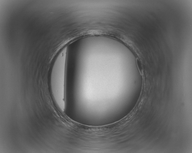X0000060780297200511101015
