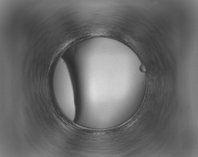 X0000060780298200511101015