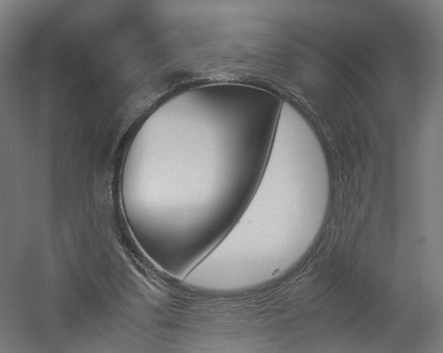 X0000060780299200511101015