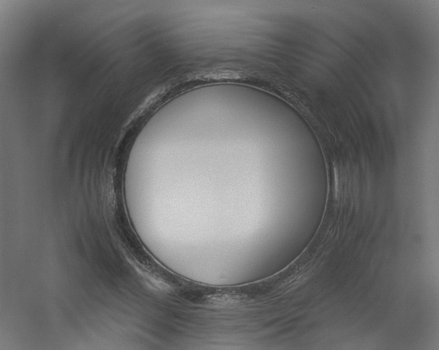 X0000060780300200511101015