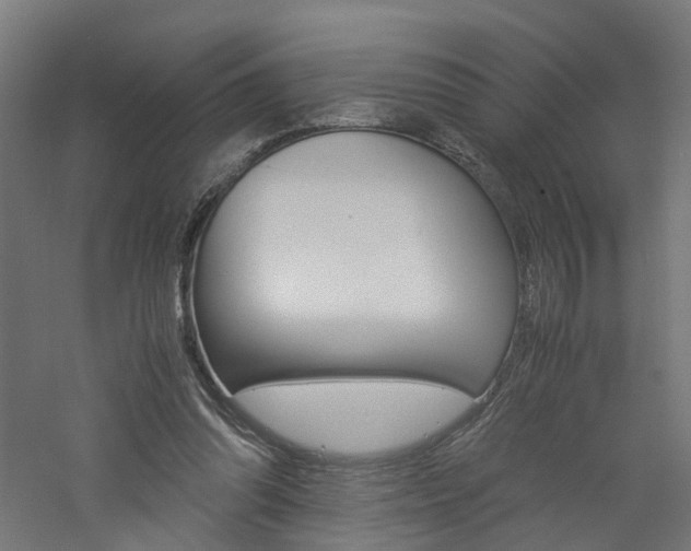 X0000060780302200511101015