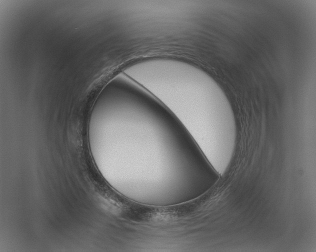 X0000060780303200511101015