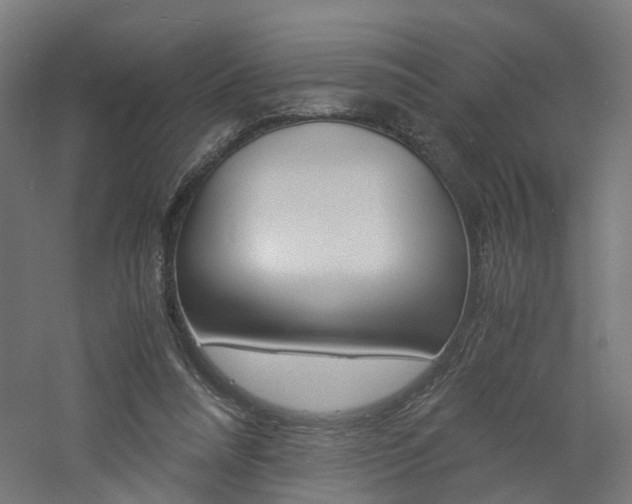 X0000060780304200511101015