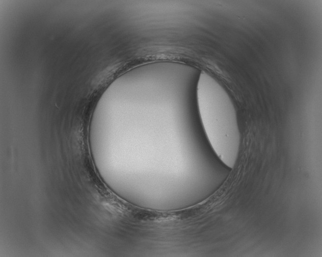 X0000060780306200511101015