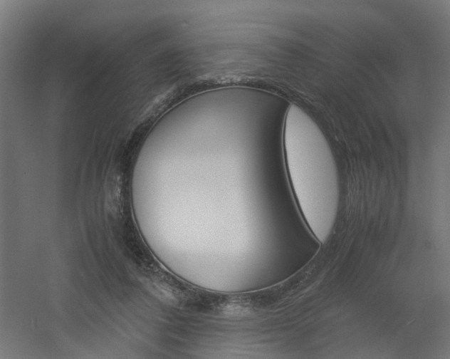 X0000060780308200511101015