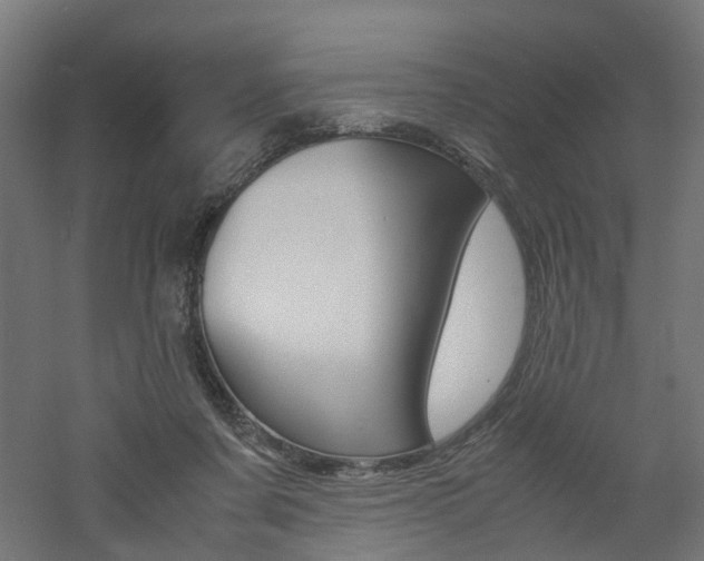 X0000060780311200511101015