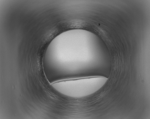 X0000060780312200511101015