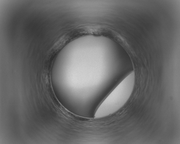 X0000060780313200511101015