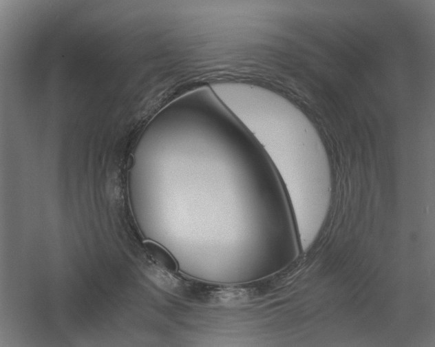 X0000060780317200511101015