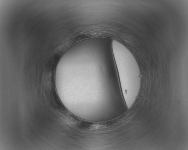 X0000060780319200511101015