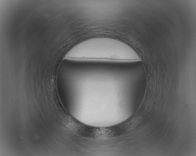 X0000060780321200511101015