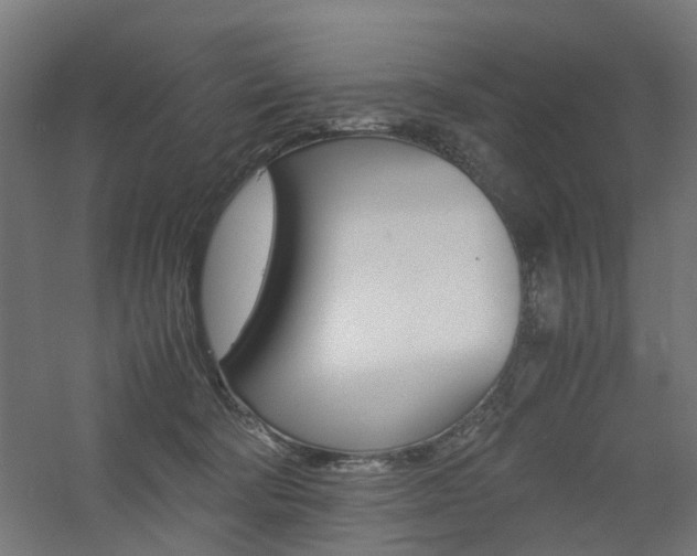 X0000060780322200511101015