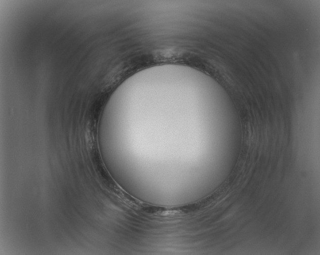 X0000060780324200511101015
