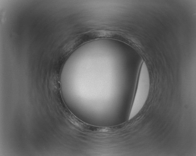 X0000060780325200511101015