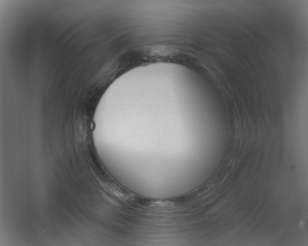 X0000060780328200511101015