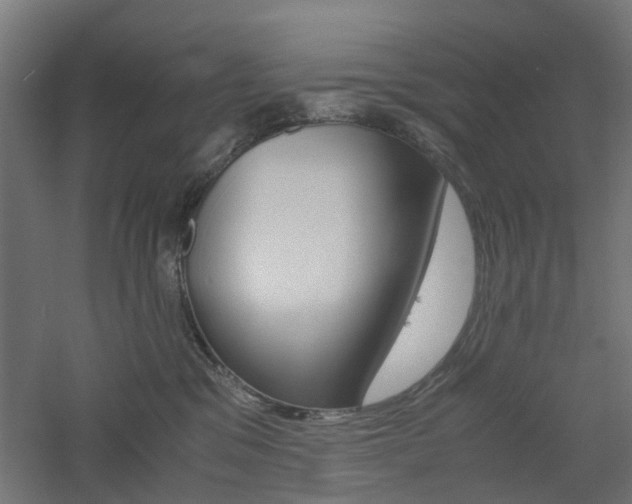 X0000060780329200511101015