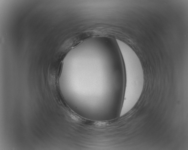 X0000060780333200511101015