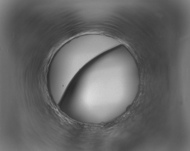 X0000060780337200511101014