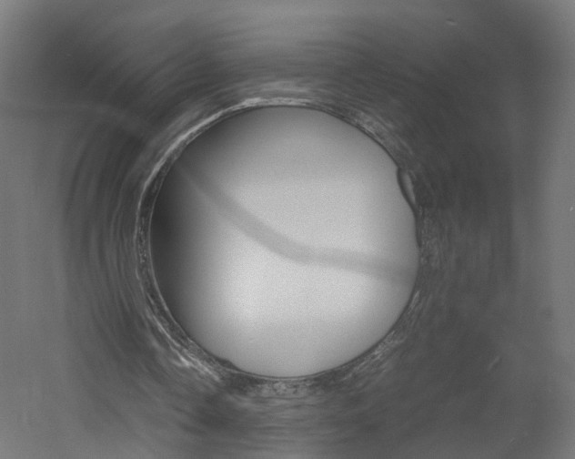 X0000060780338200511101014