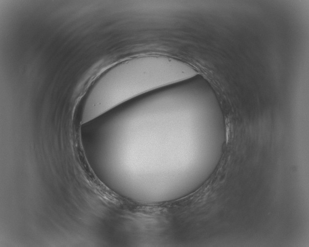 X0000060780339200511101014