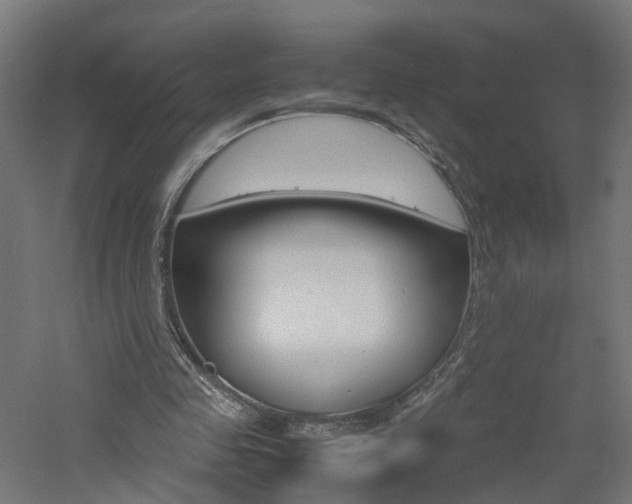 X0000060780341200511101014