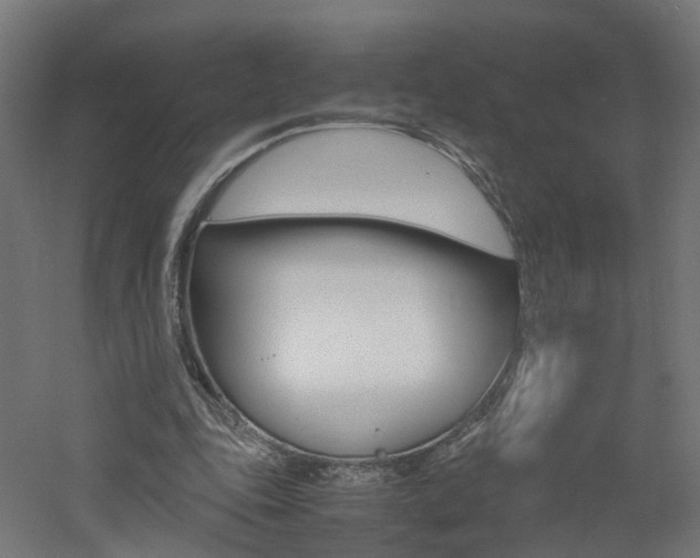 X0000060780343200511101014