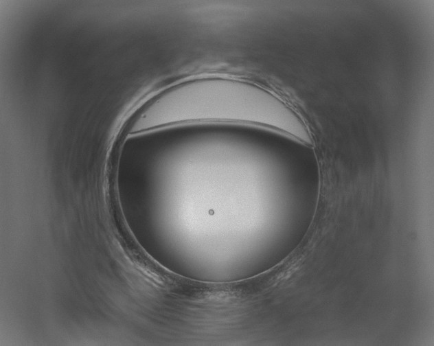 X0000060780344200511101014