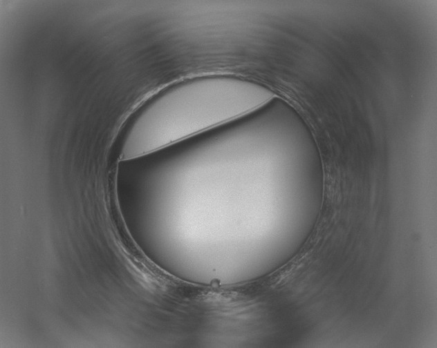 X0000060780346200511101014