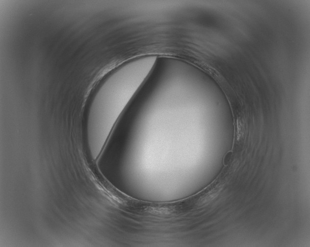 X0000060780349200511101014