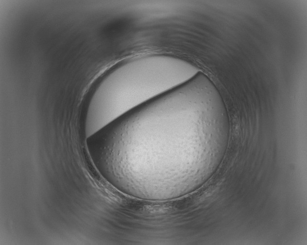 X0000060780351200511101014