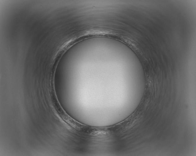 X0000060780352200511101014