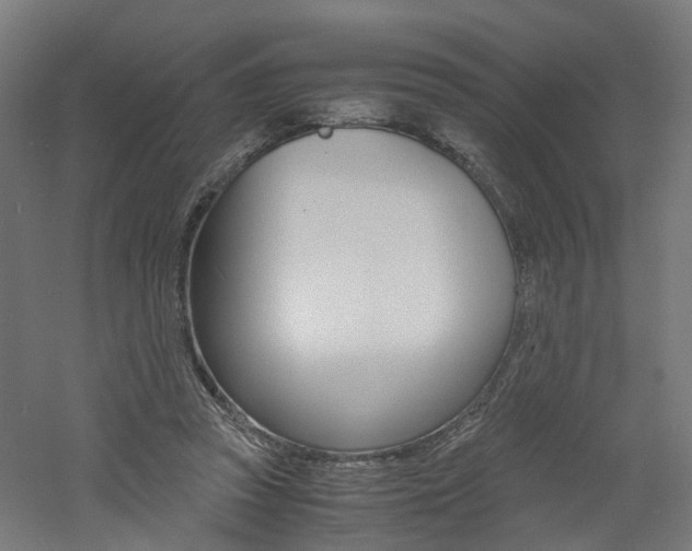 X0000060780353200511101014