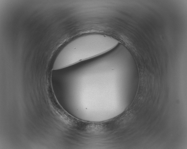 X0000060780354200511101014