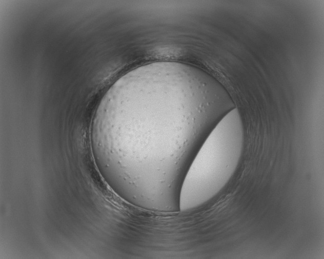 X0000060780355200511101014
