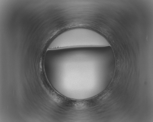 X0000060780358200511101014