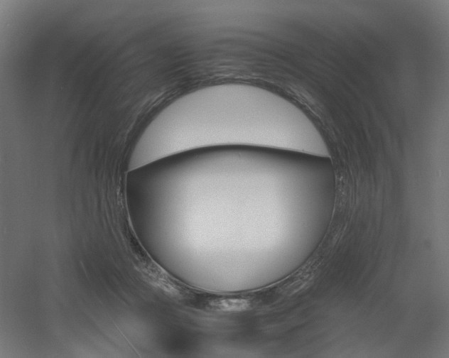 X0000060780361200511101014