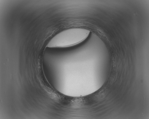 X0000060780362200511101014