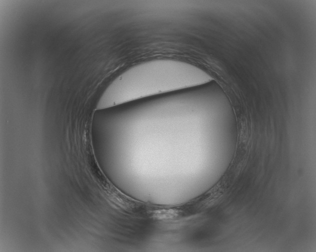 X0000060780363200511101014
