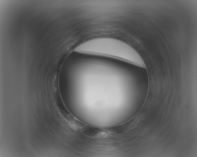 X0000060780364200511101014