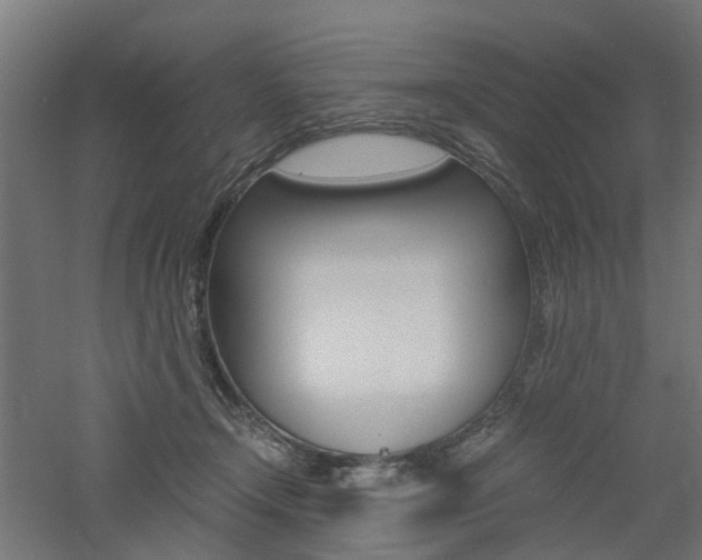 X0000060780366200511101014