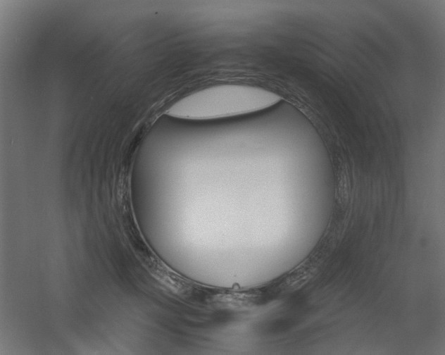 X0000060780367200511101014
