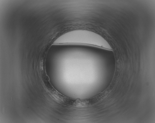 X0000060780368200511101014