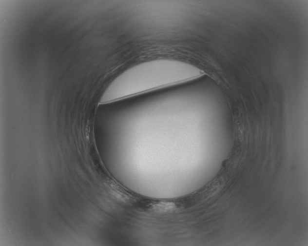 X0000060780374200511101014