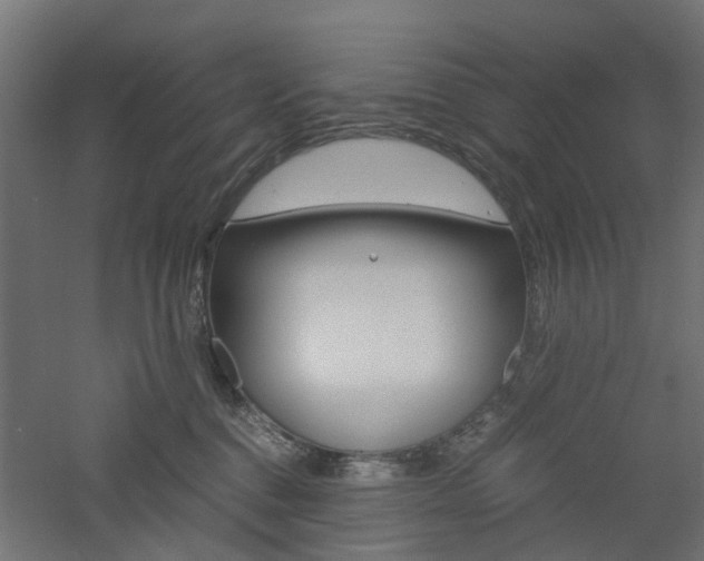 X0000060780376200511101014